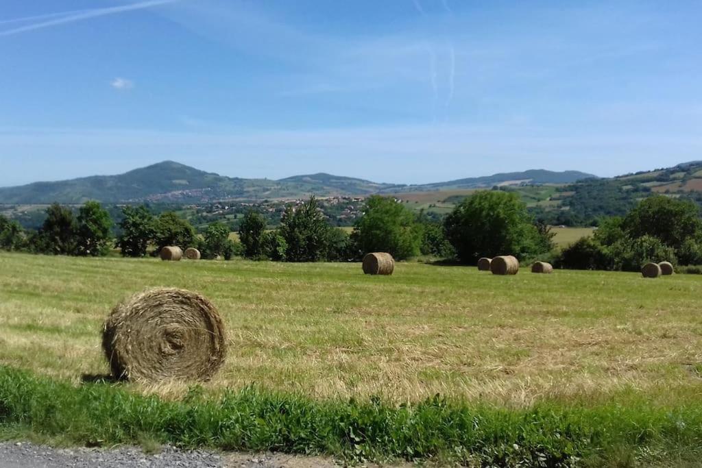 Appartamento Les Pierres Blondes Montpeyroux  Esterno foto