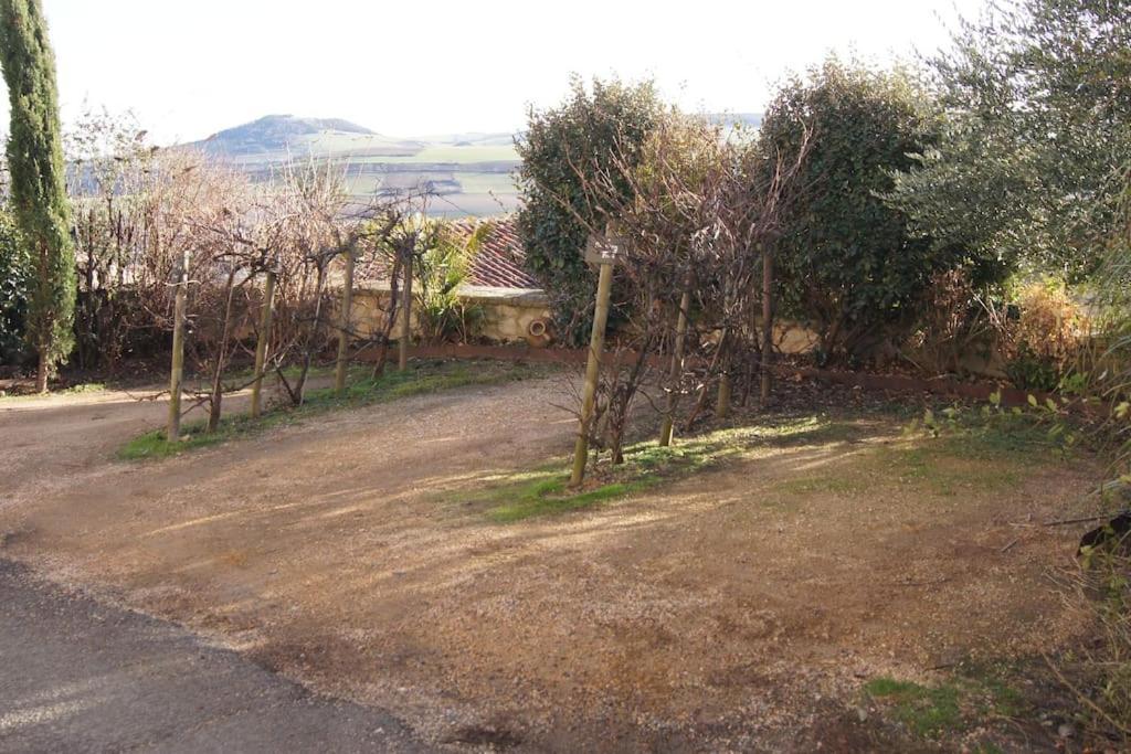 Appartamento Les Pierres Blondes Montpeyroux  Esterno foto